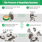 🪳 RoachShield Natural Gel – The Ultimate Cockroach Killer for a Safe & Clean Home ✨