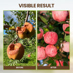 Premium Soil Activator (Pack of 2)